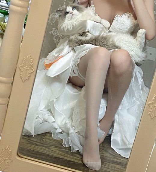 我退役了动漫免费观看_BT种子搜索